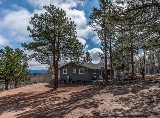 1920 Mockingbird Trl, Bailey, CO 80421