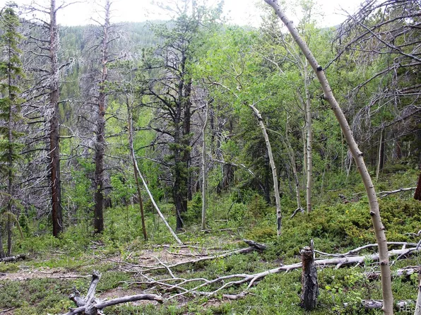 200 FS 753.1 LOT 11917, Black Hawk, CO 80422