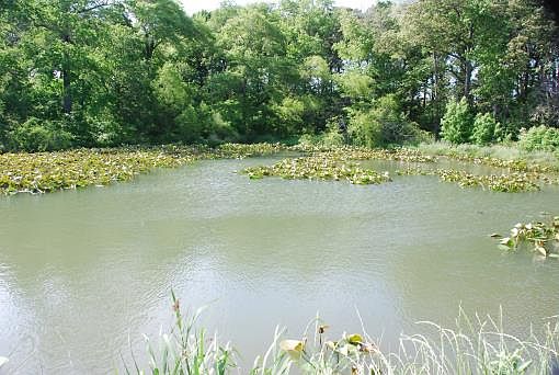 4th image of 1442 County Road 313 E