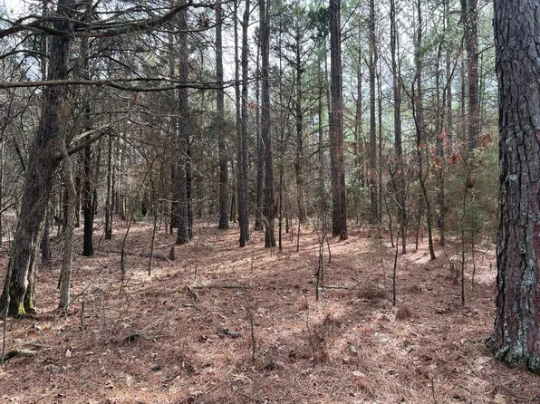 Arrowhead Dr, Peel, AR 72668