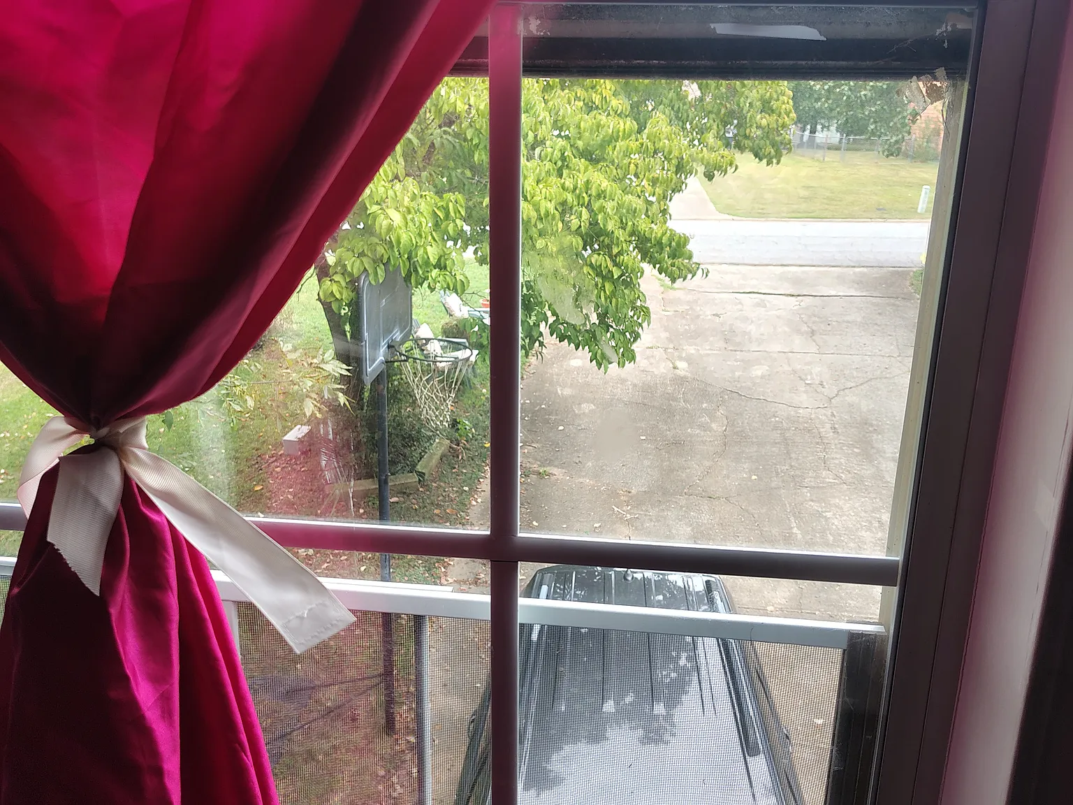 1 bed, 3700 sqft, $800 — Photo 3