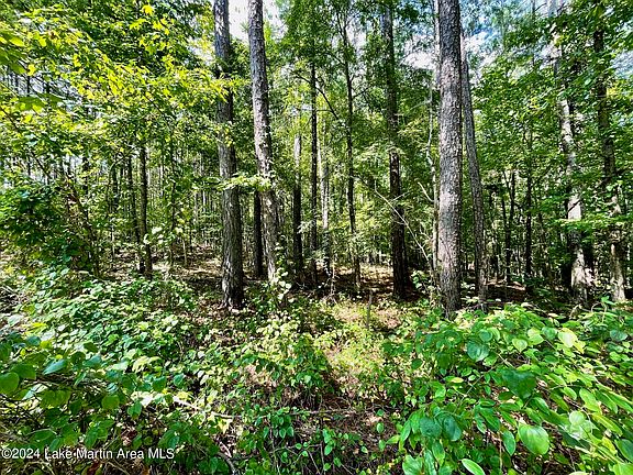 2nd image of 23 Cotton Ln