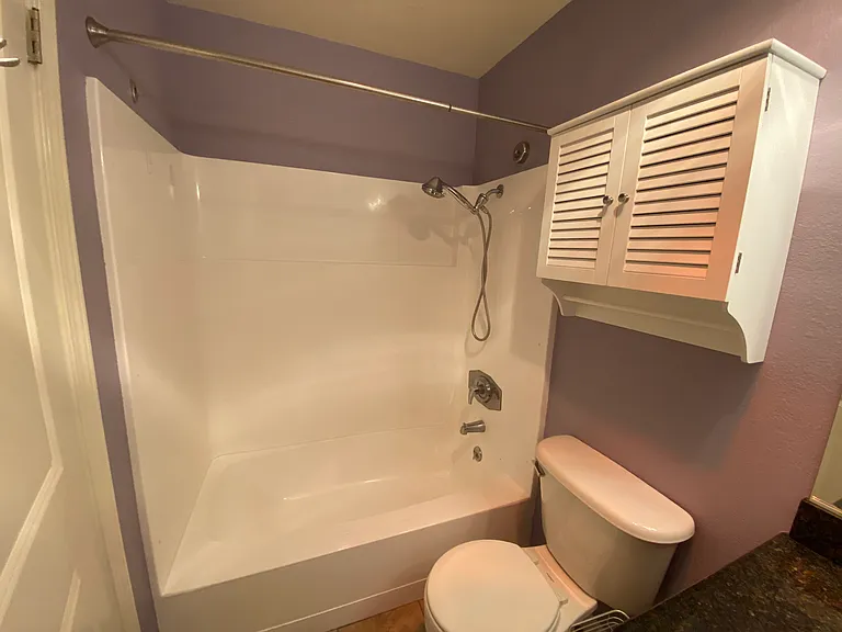 Full shower and bathtub