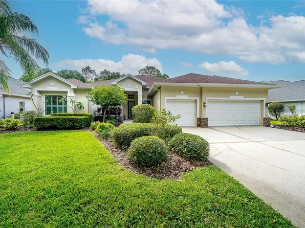 17519 Edinburgh Dr, Tampa, FL 33647