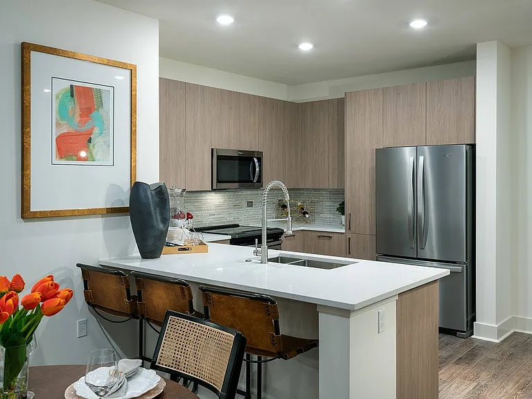Apartment Kitchen