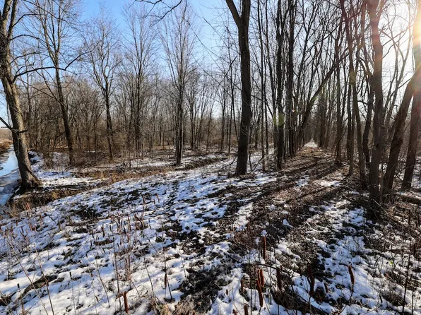 Ville Flanders Rd, Charlotte, MI 48813