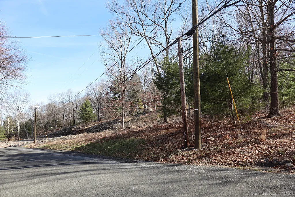 190 Blueberry Hill Road photo 1