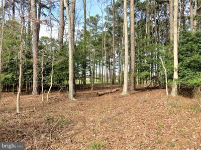 104 W Side Dr, Rehoboth Beach, DE, 19971