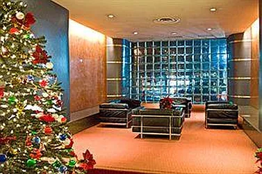 Rented by Peter Ashe