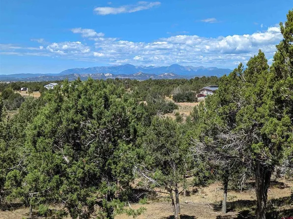 Lot 23 Farraday, Durango, CO 81303