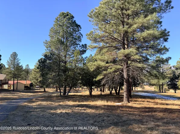 101 Bogie Ln, Ruidoso, NM 88345