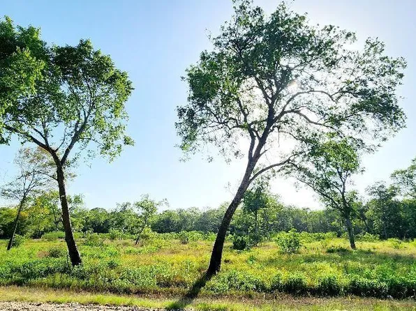 0 Baldwin Dr, Hungerford, TX 77448