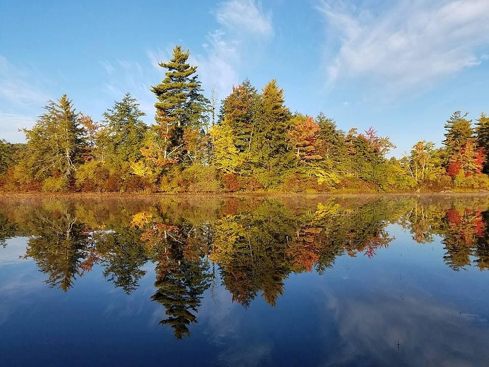 Horn Pond