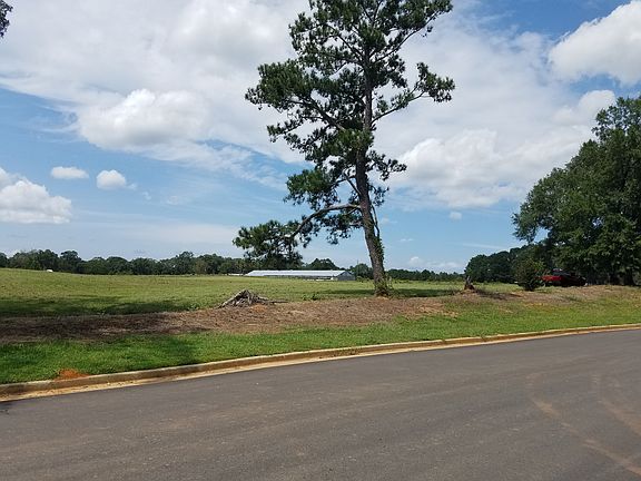 4th image of 175 Cowetta Trl