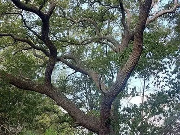 4100 Sargent Ct, Bay City, TX 77414