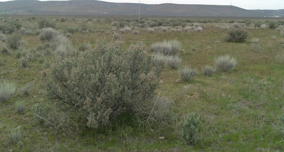 2nd image of 12994 Road A NW