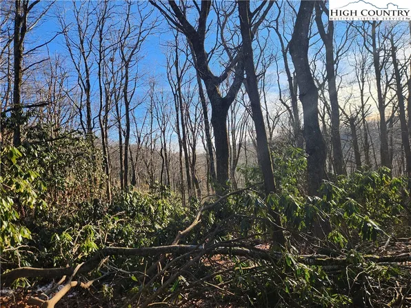 165 Glenmore Lane, Blowing Rock, NC 28605