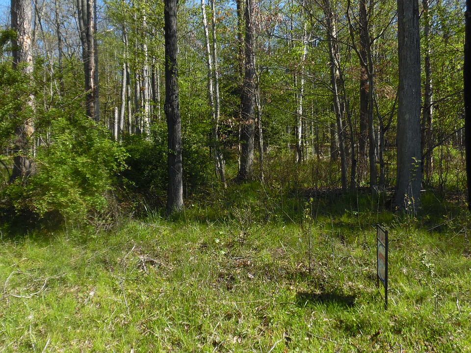 1st image of Carribean Rd Lot 901