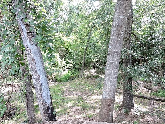 3rd image of 423 Sycamore Dr