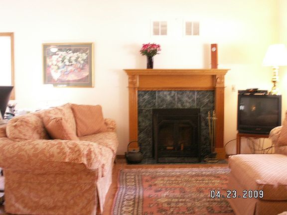 wood fireplace has forced air