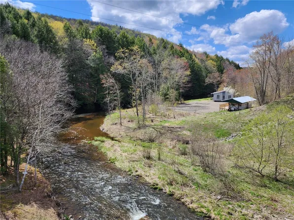 (undisclosed Address), Bloomville, NY 13739