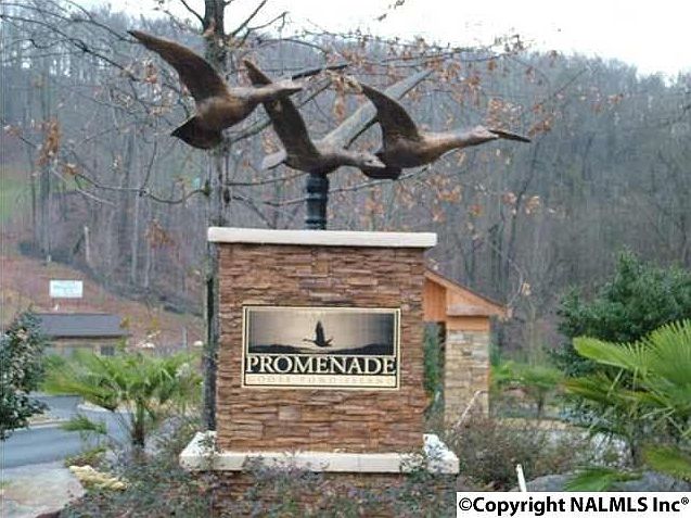 1st image of Lookout Mountain Dr