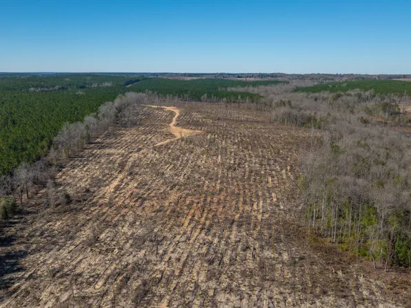 0 Bill Merritt Rd, Buena Vista, GA 31803
