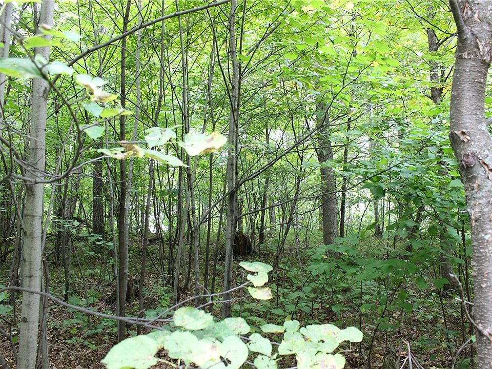 1st image of Lot 10 Erwin's Oak Ridge