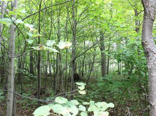 LOT 10 Erwins Oak Rdg LOT 10, Shell Lake, WI 54871