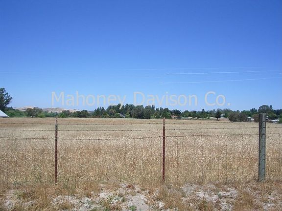view of back field