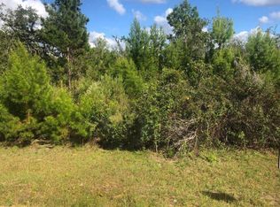 204 Usina Avenue, Interlachen, FL 32148