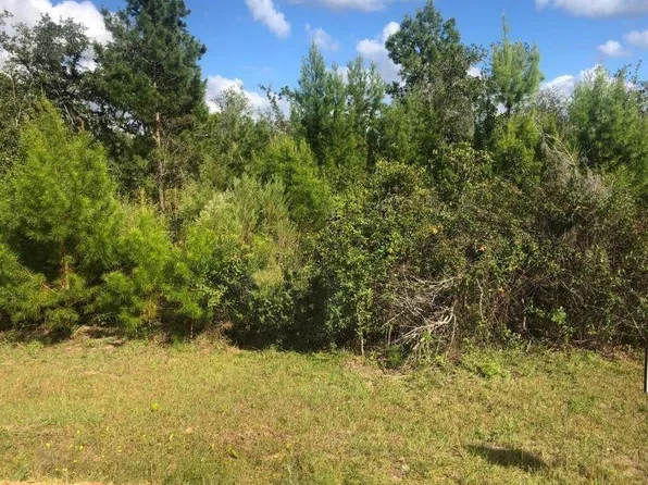 204 Usina Avenue, Interlachen, FL 32148