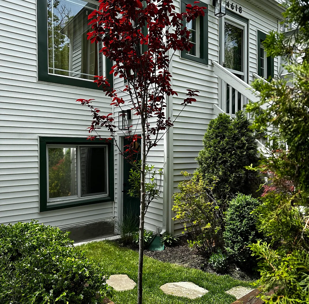 3 bed, 1000 sqft, $2,000 — Photo 2