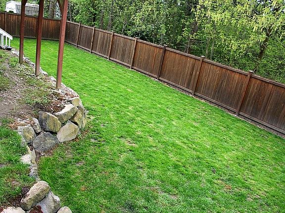 Fenced Backyard