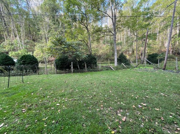 2851 Old Womans Run #C, Sutton, WV 26601