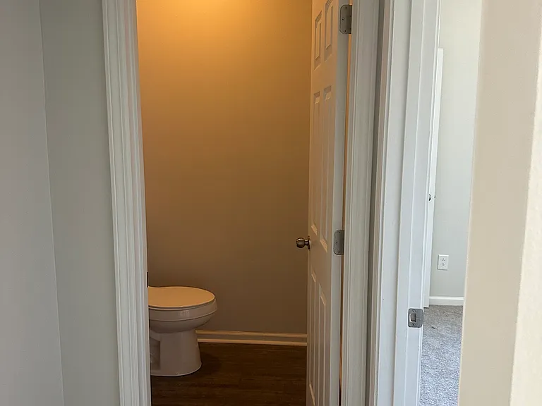 336 Peters Creek Dr — Photo 9