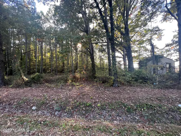 1409 Sr 1409, Whitakers, NC 27891