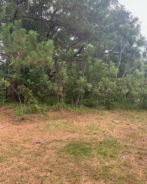 2nd image of 40 Redwood Rd