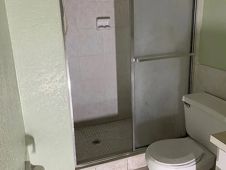 master bedroom shower