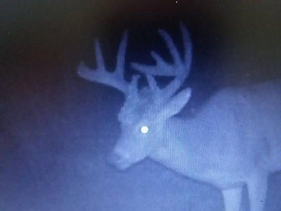 3rd image of 0 SE 1151st Rd