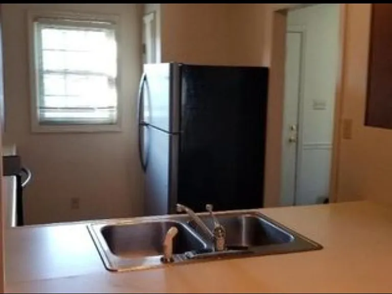 461 Bramblewood Ln — Photo 12