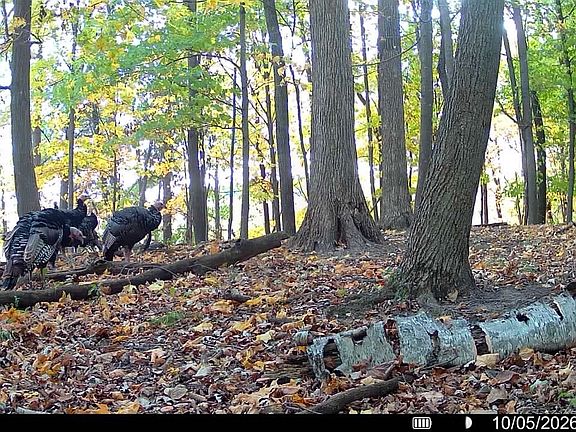 3rd image of TBD 190th Street