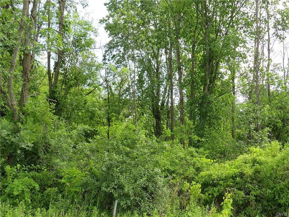 2nd image of 0 Lewis Point Road