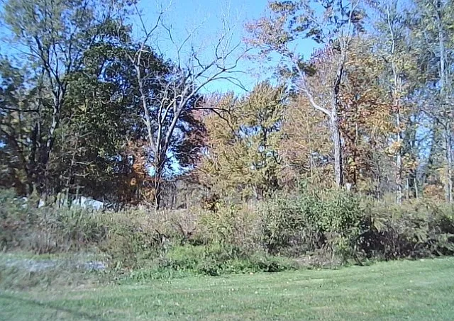 2 bed, 1.5 bath, 2304 sqft, $2,700 — Photo 2