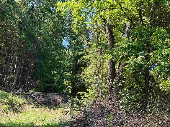 2nd image of Sandy Dr
