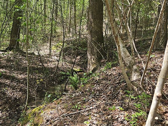 4th image of 0 Maple Grove Church Rd