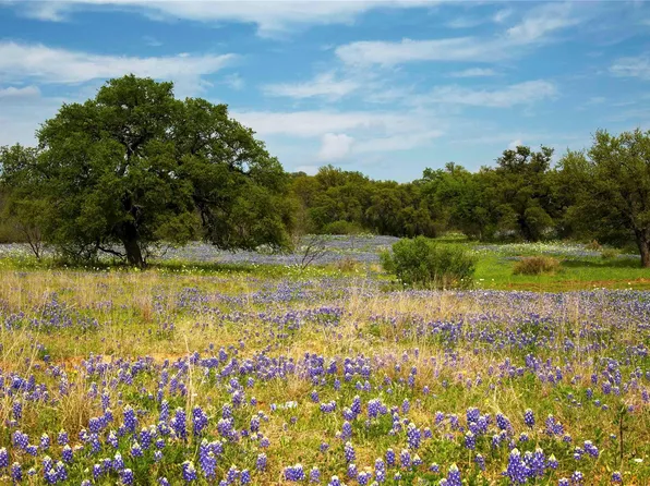 11 Maddalena Ln, Dripping Springs, TX 78620