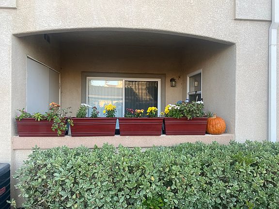 3rd image of 14103 Old El Camino Real #7