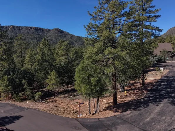 108 W RUIN HILL Loop #108, Pine, AZ 85544