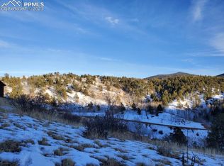 193 Last Dollar Dr, Cripple Creek, CO 80813